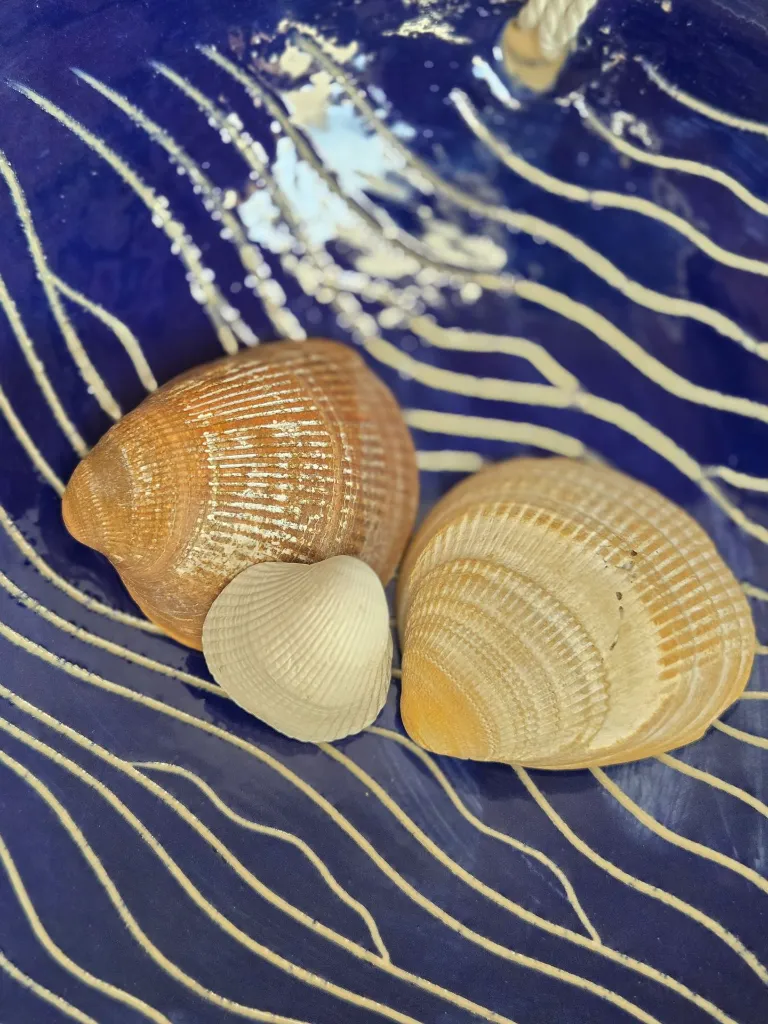 plat vagues atelier dune d'argile (16).webp